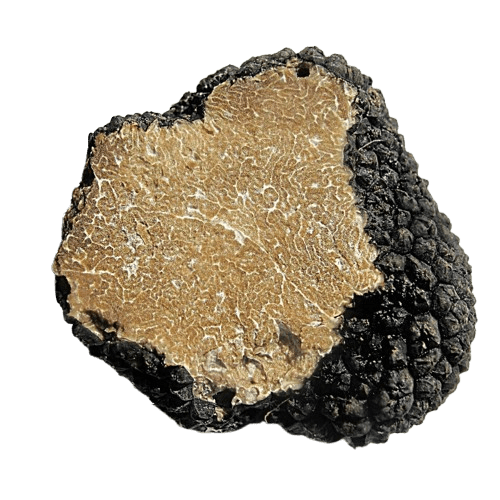 Fresh Summer Truffle