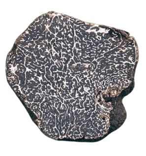 Tartufo Nero Pregiato