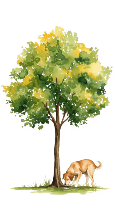Watercolor illustration of dogs searching for truffles among trees
