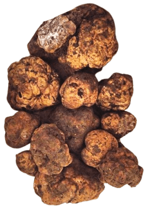 Bianchetto Truffle product image